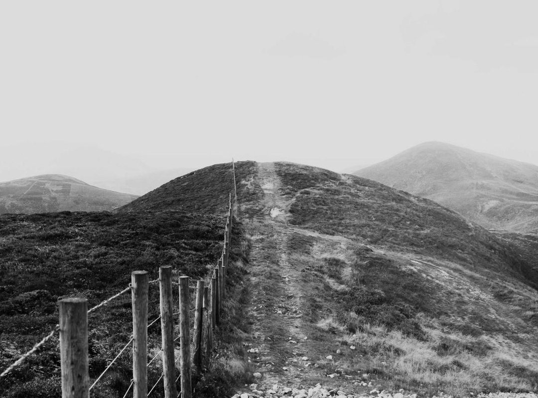 Separating Hype from Help: A Gamer's Guide to Influencer Content