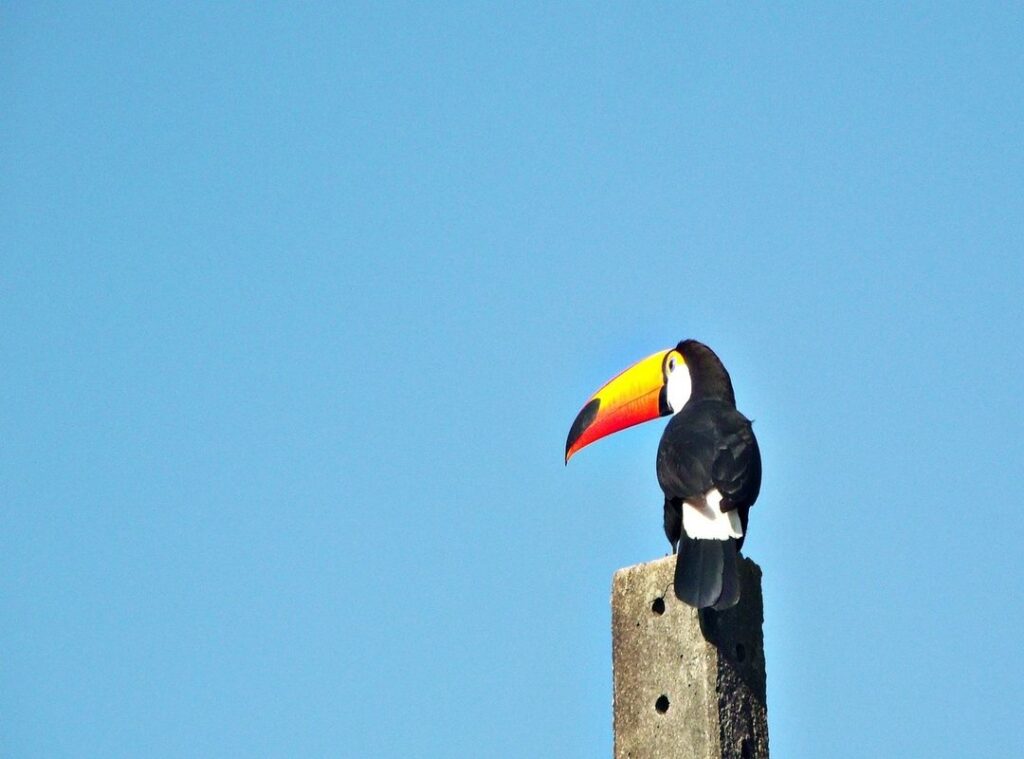 buenos dias feliz jueves graciosos