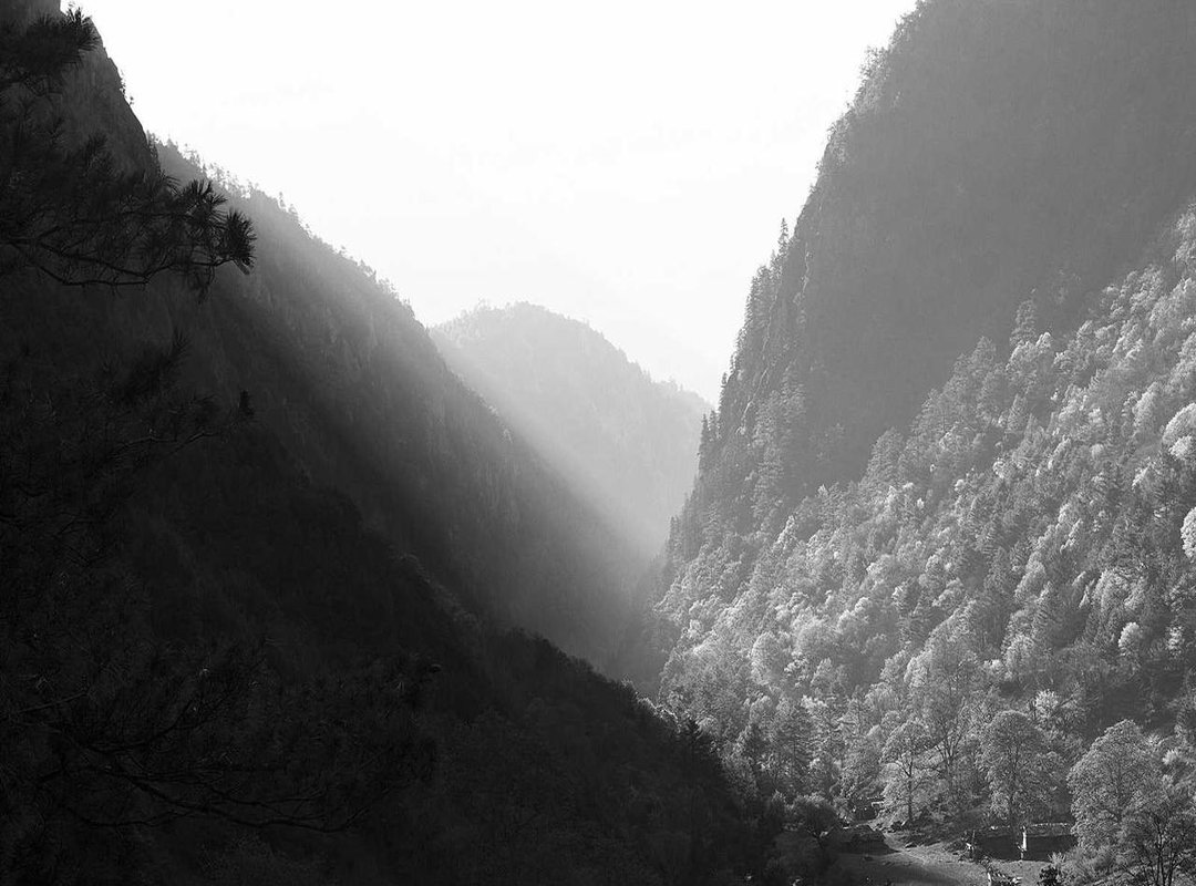 Pros and Cons: Analyzing Each Wallpaper