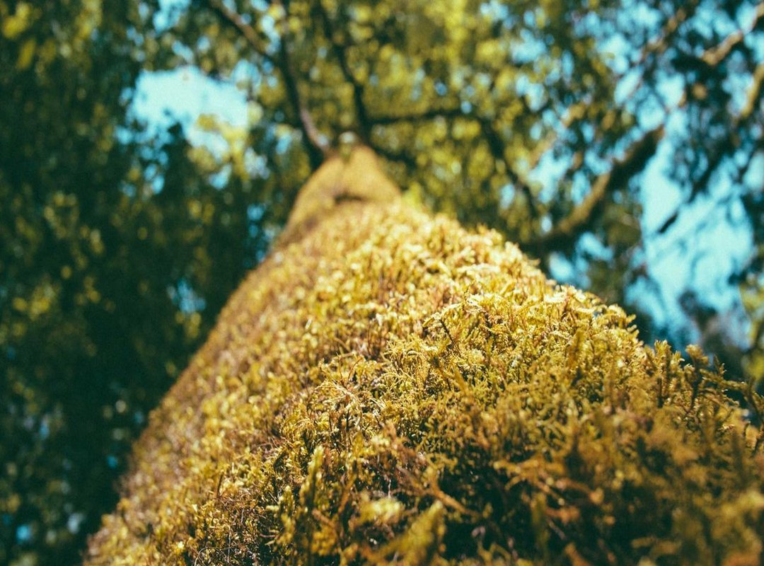 Bringing Her to Life: Adding the Face and Skull Emblem