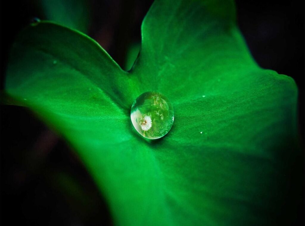 lookmovies2.to legit