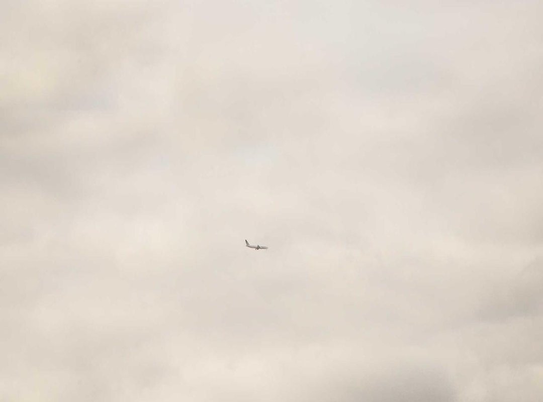 A Global Feast: International Foods Starting with F