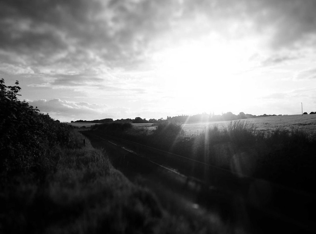 The Million-Dollar Question: What Does Tembiluk Actually Taste Like?